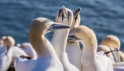 秒瞬达POS机应答码/错误码处理方法全在这里了