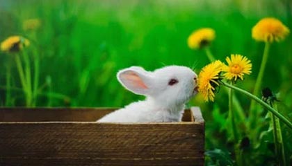 瑞刷pos机24小时在线客服电话